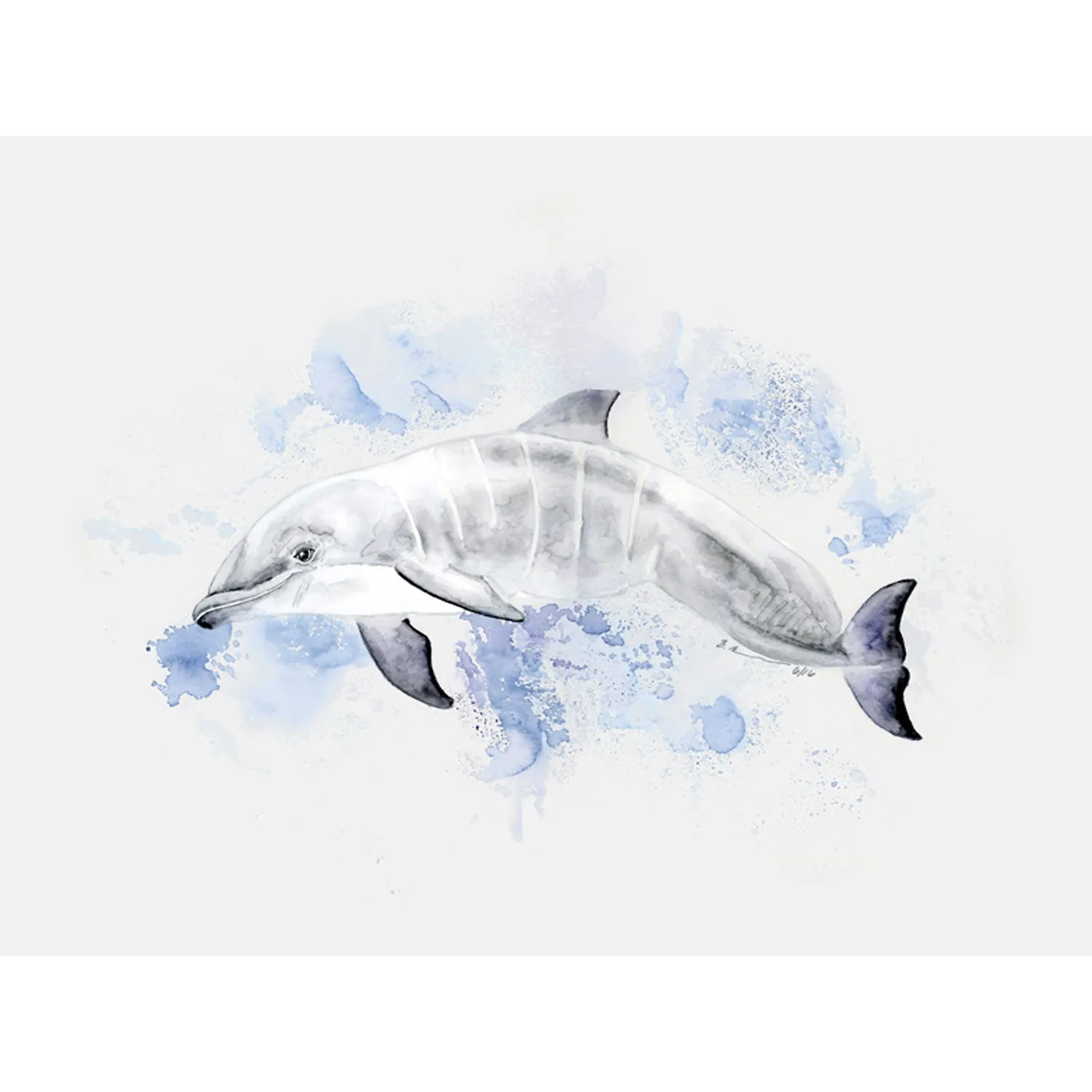 Baby Dolphin Portrait Canvas Wall Art