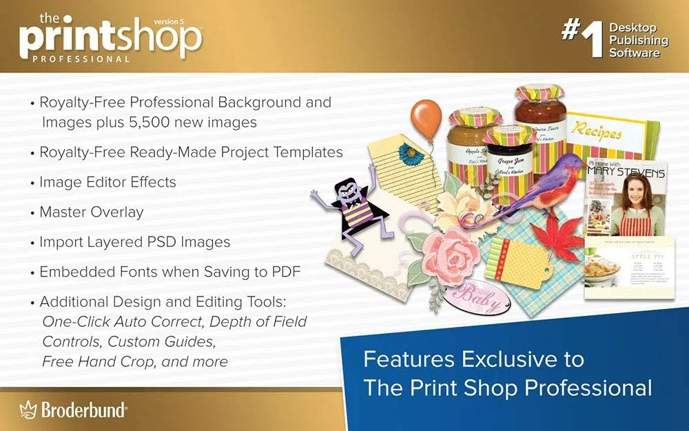 The Print Shop 5.0 Professional - Impressive Design Projects Made Easy [PC Download]